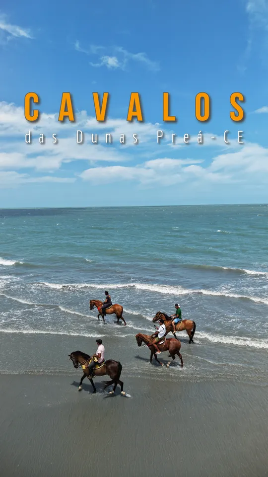 Reel — Cavalo